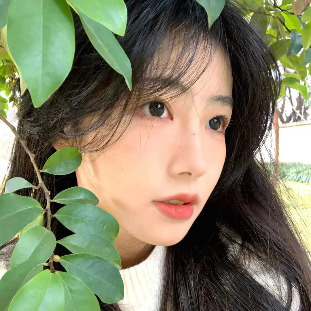 铁核桃之无间风云