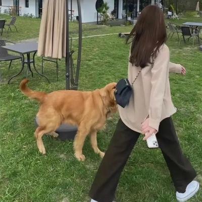 八兄弟